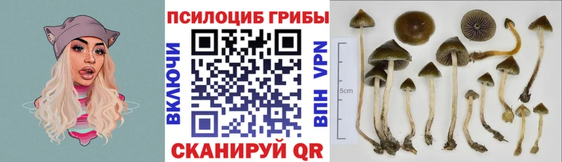 Галлюциногенные грибы мицелий  Фатеж 